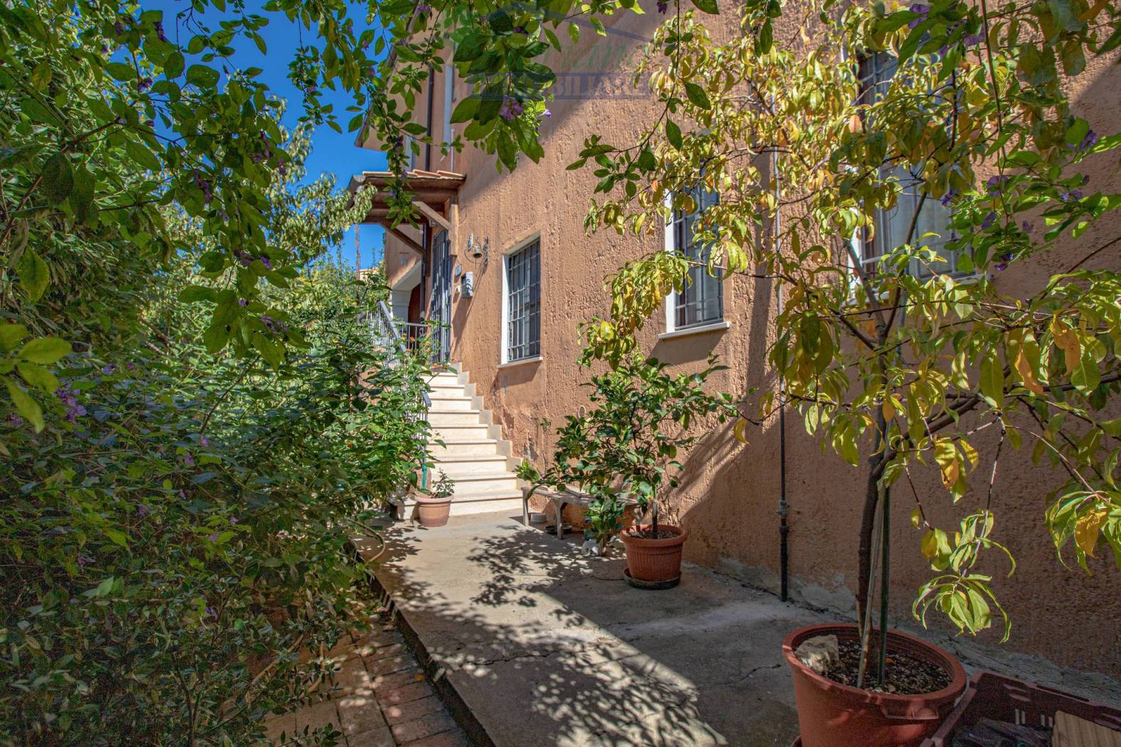 Giardino