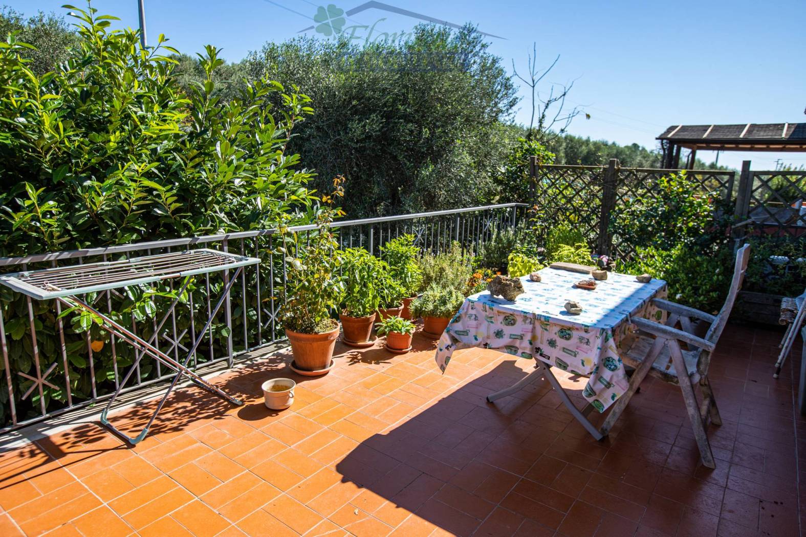 Terrazzo
