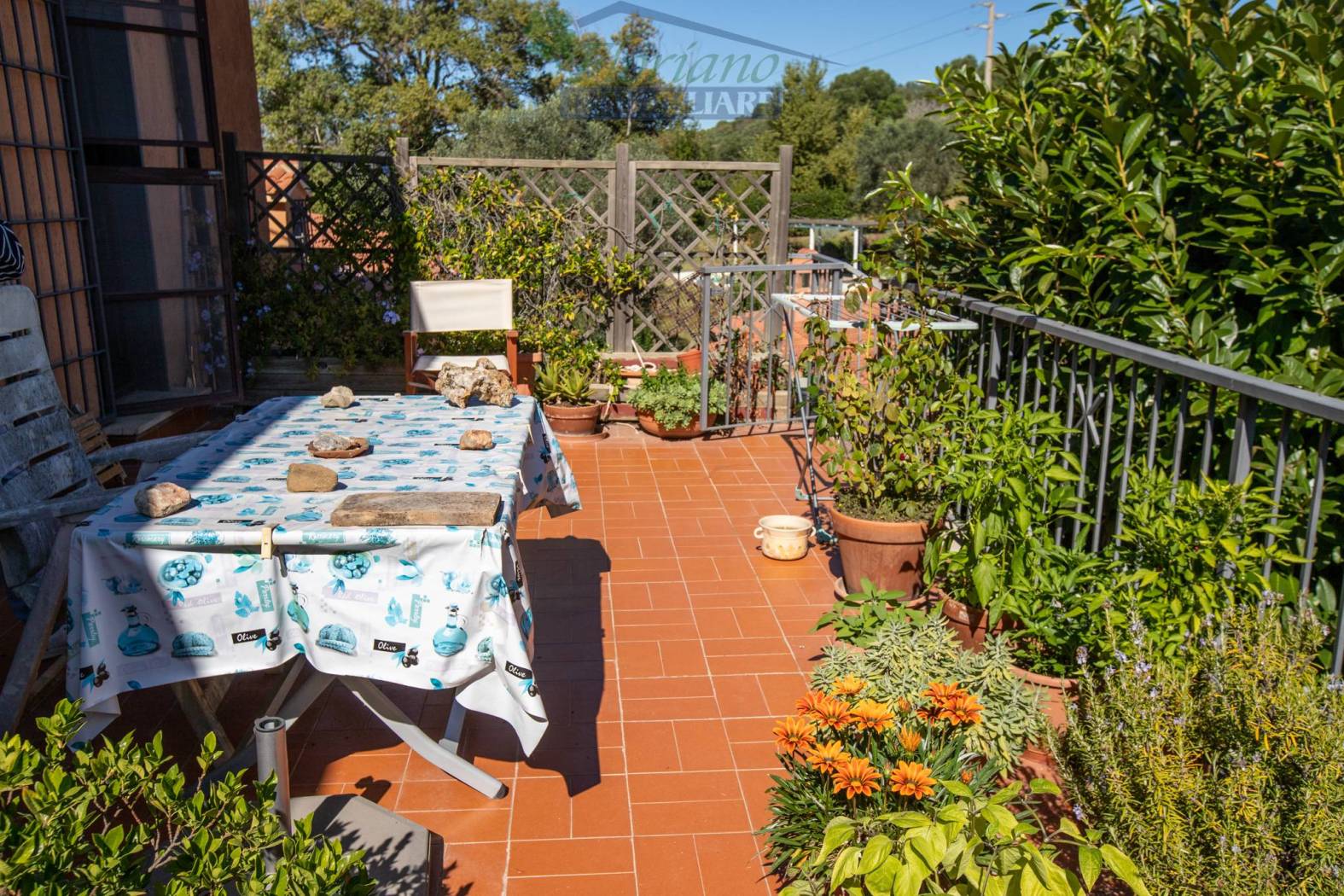 Terrazzo