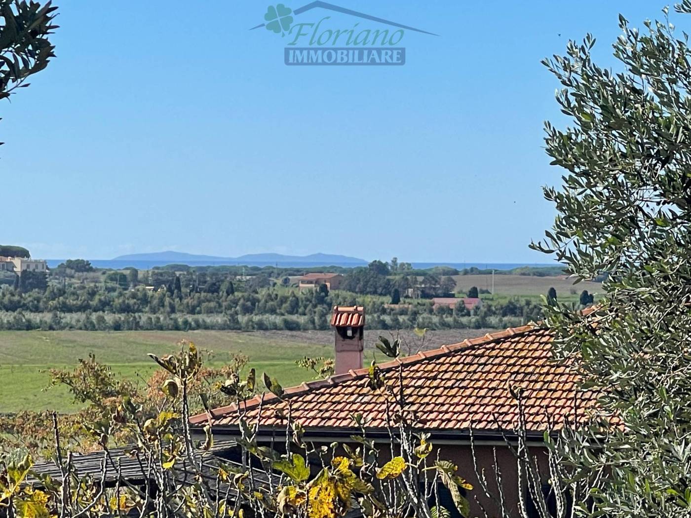 Vista