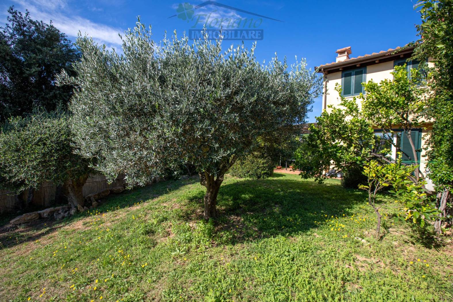 Giardino