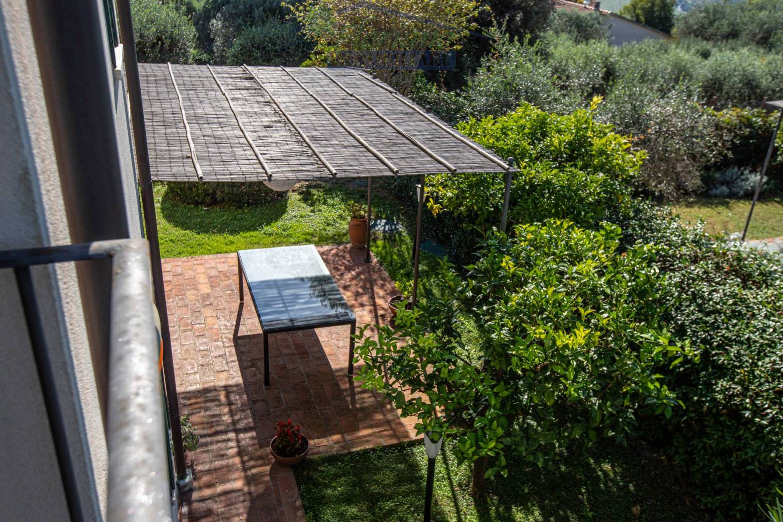Giardino