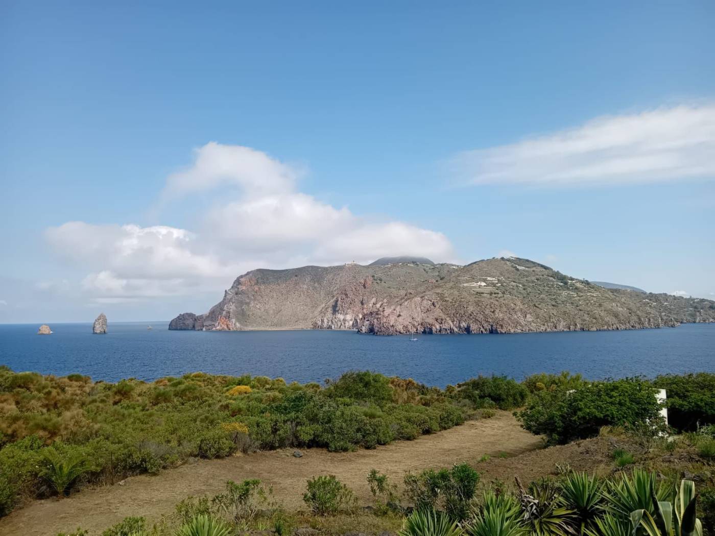 Vista