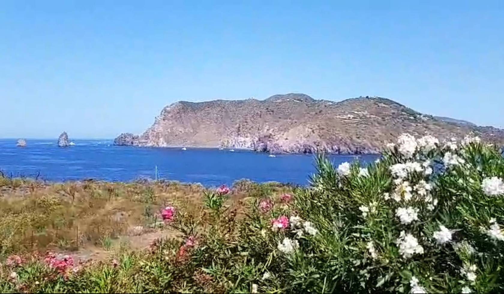 Vista