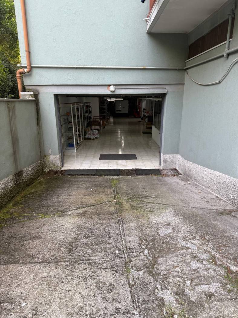 Ingresso