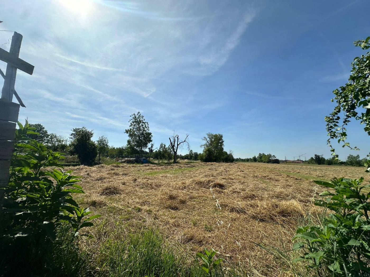 Terreno