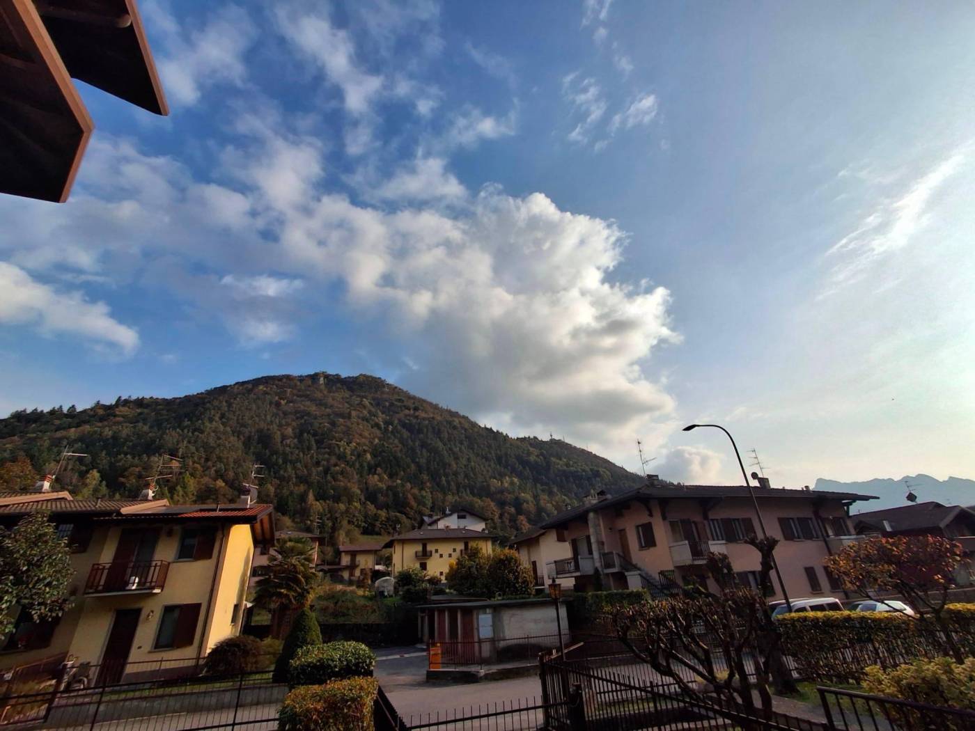 Vista