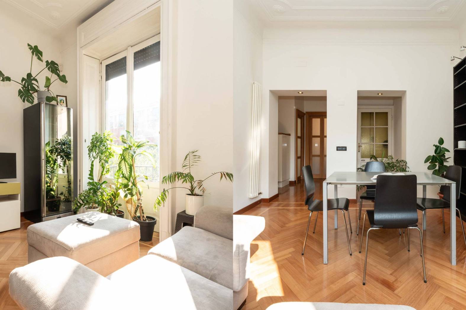 Salone
