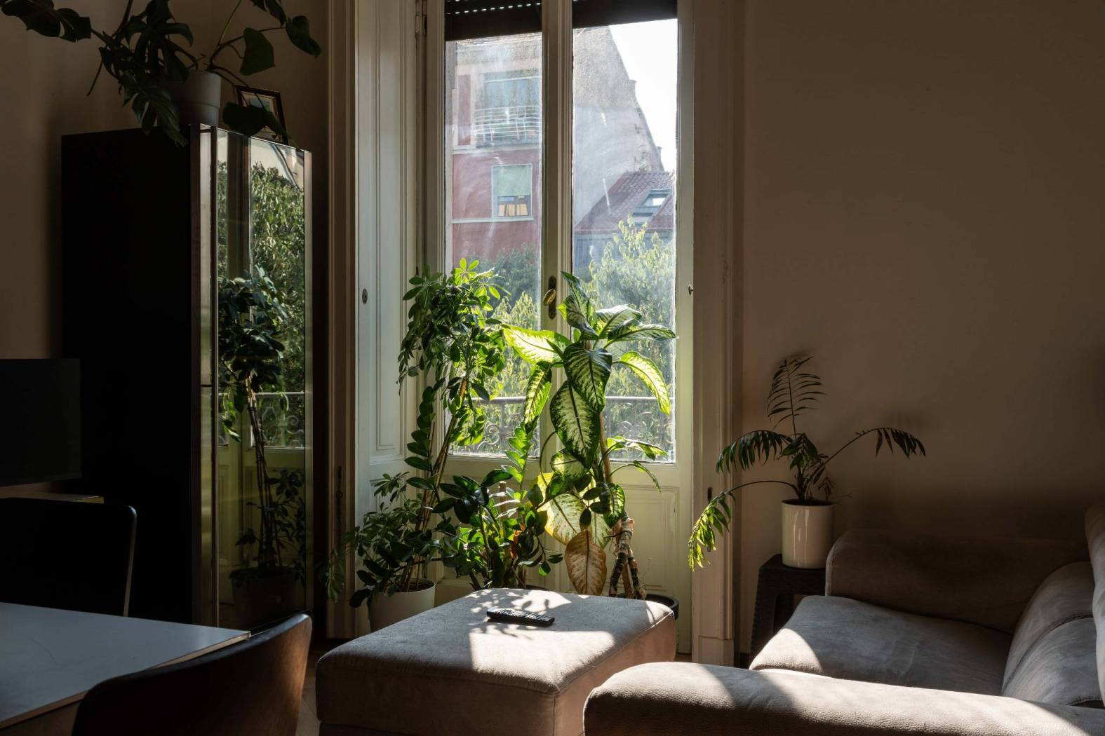 Salone