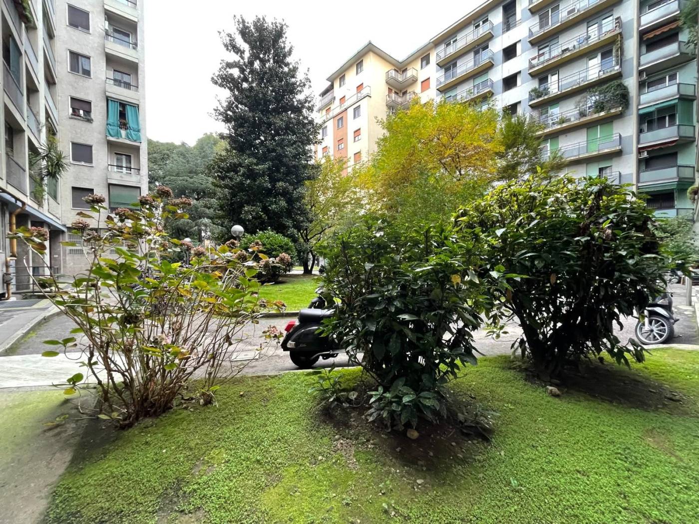 Giardino Giardino