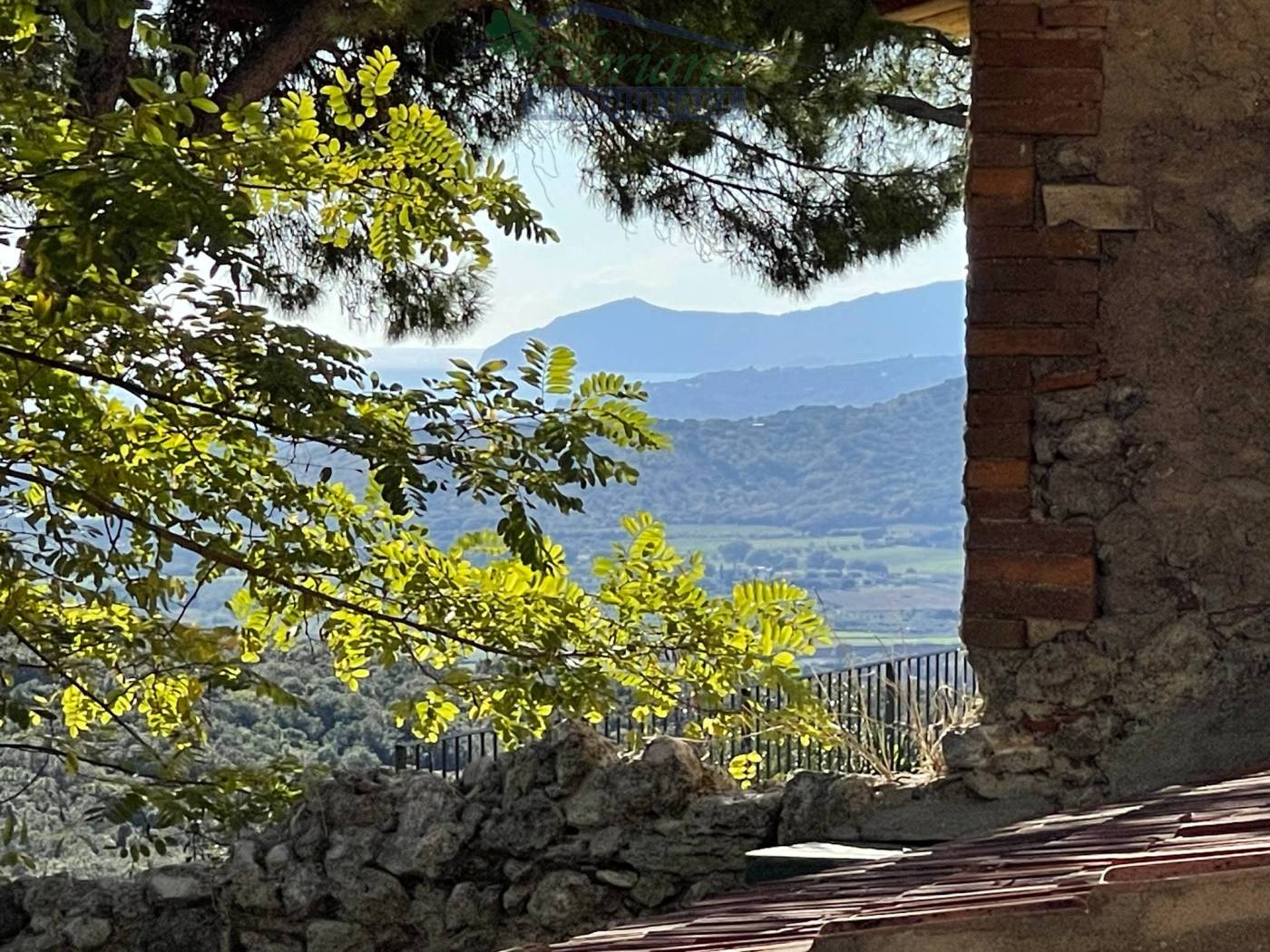 Vista