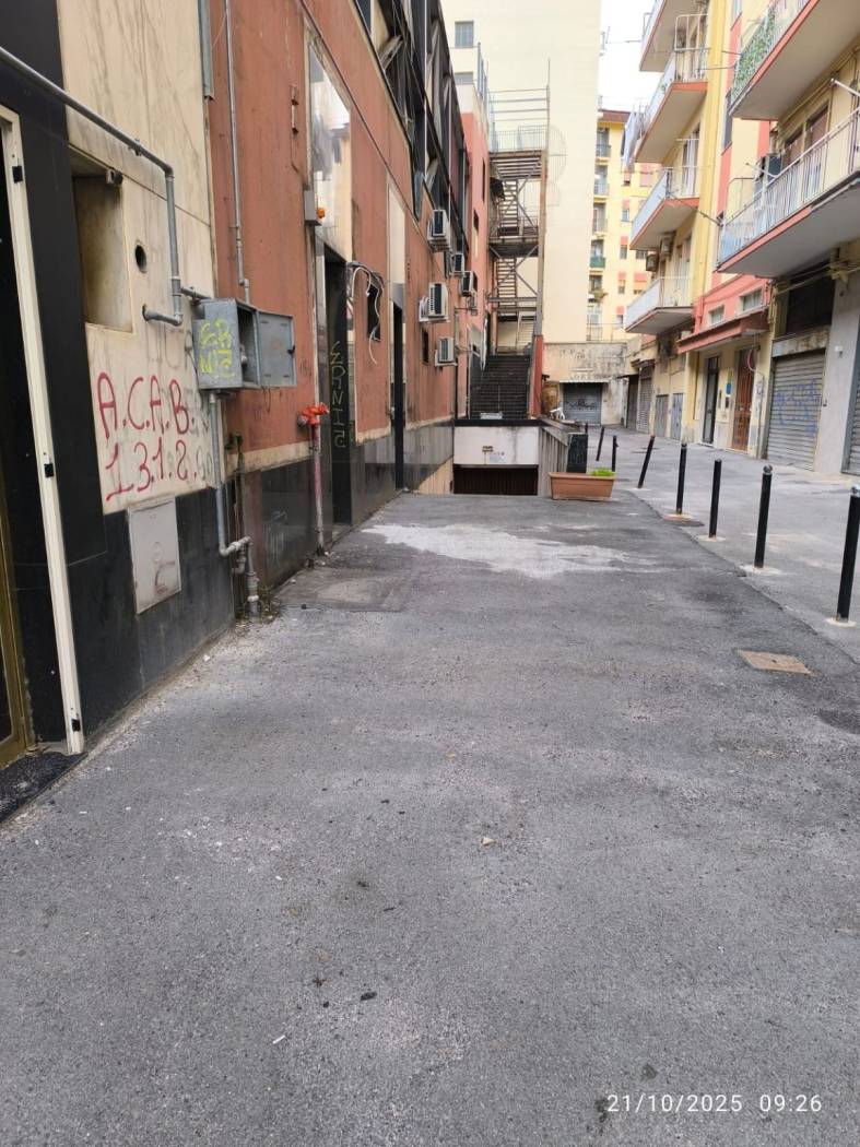 Zona