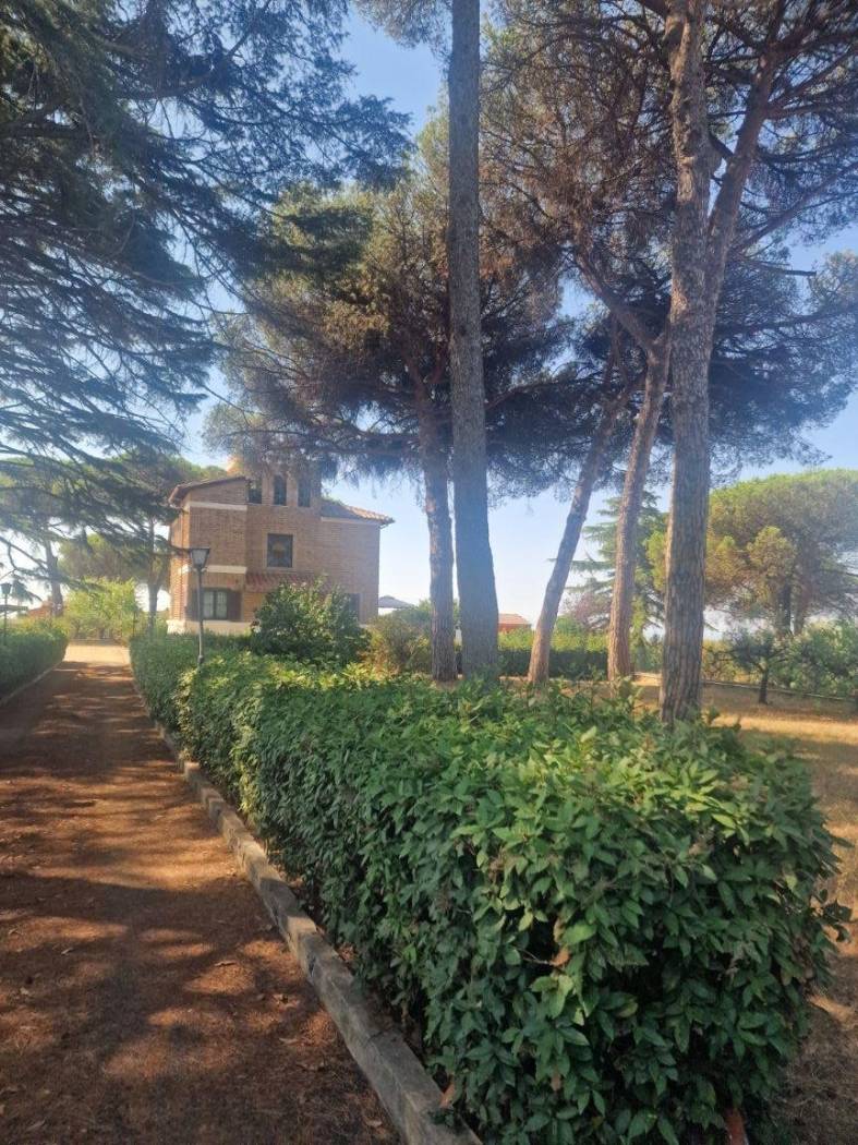 Giardino