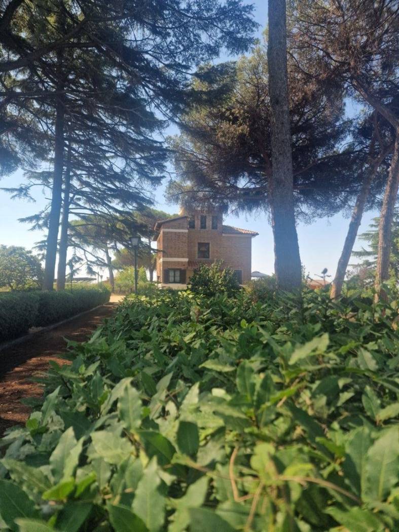 Giardino