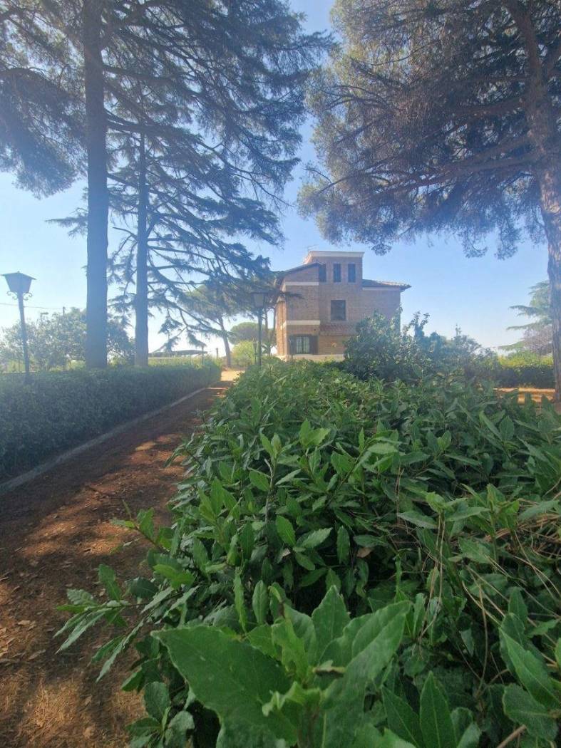 Giardino