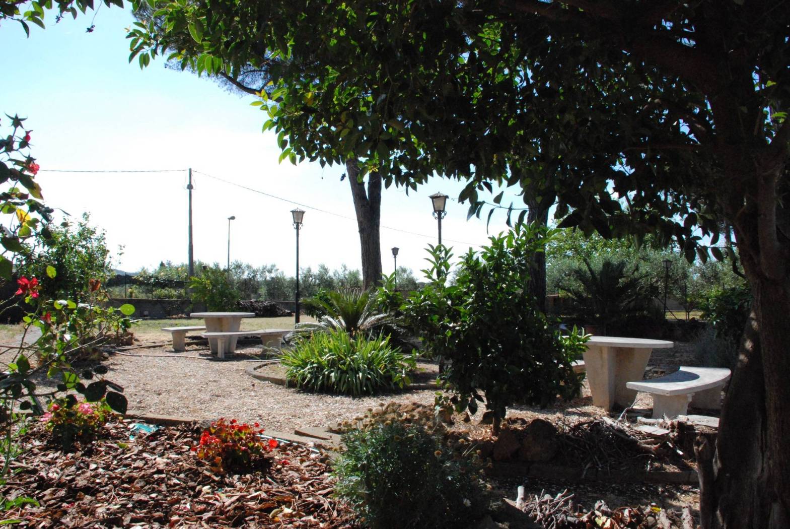 Giardino