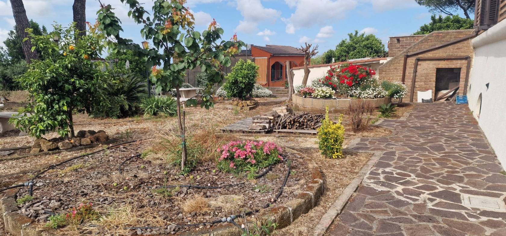 Terreno