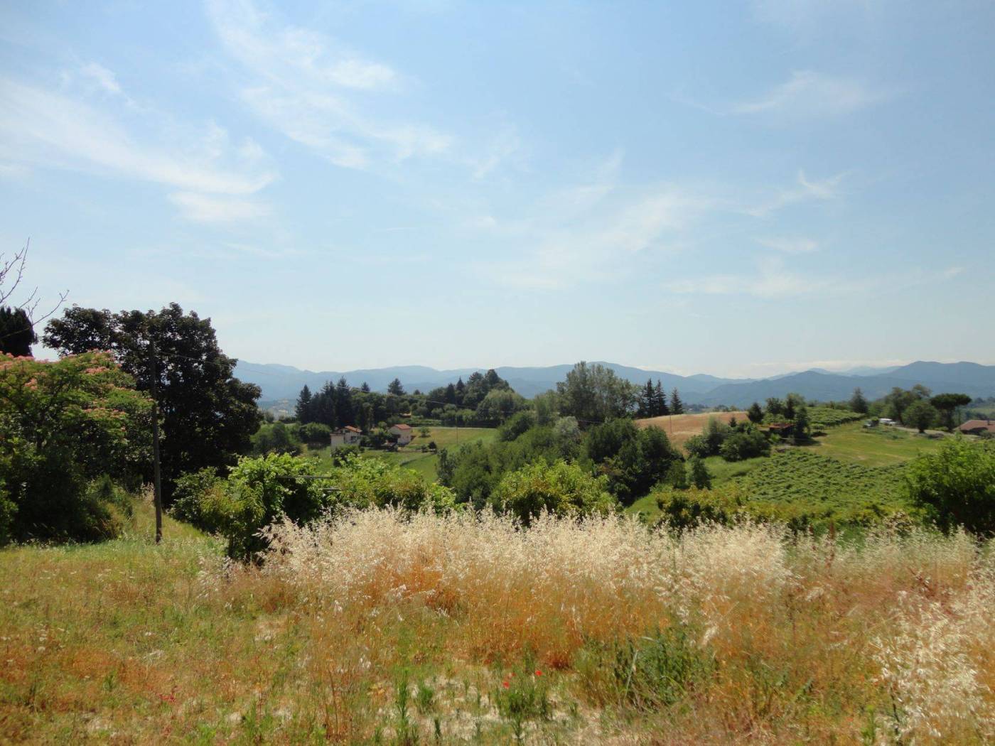 Terreno