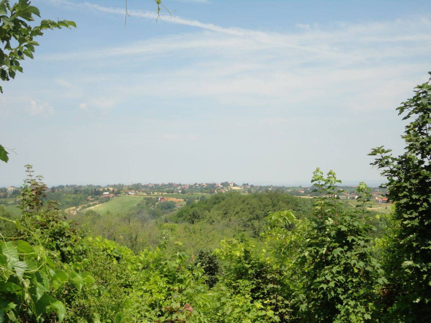 Vista