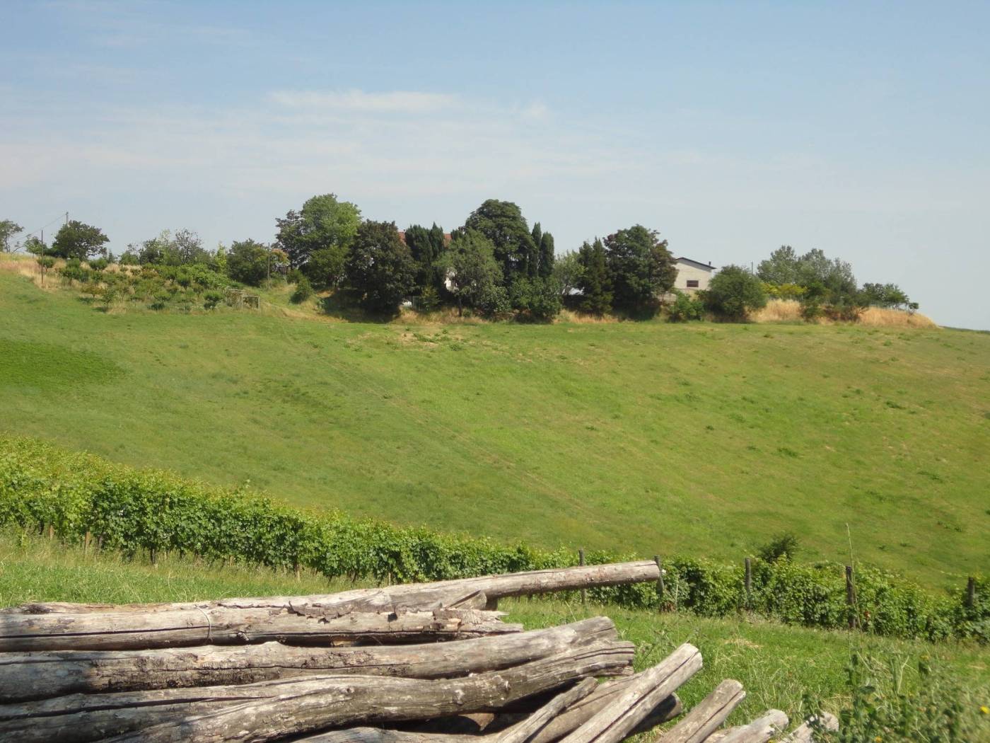 Terreno