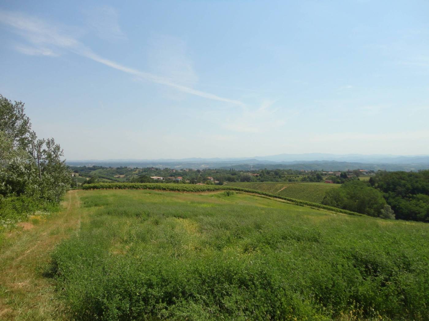 Terreno