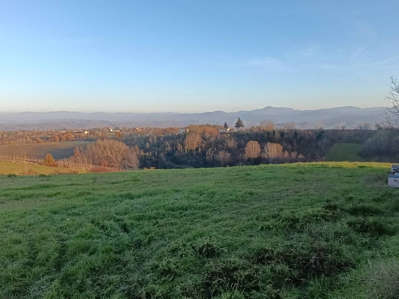 Terreno