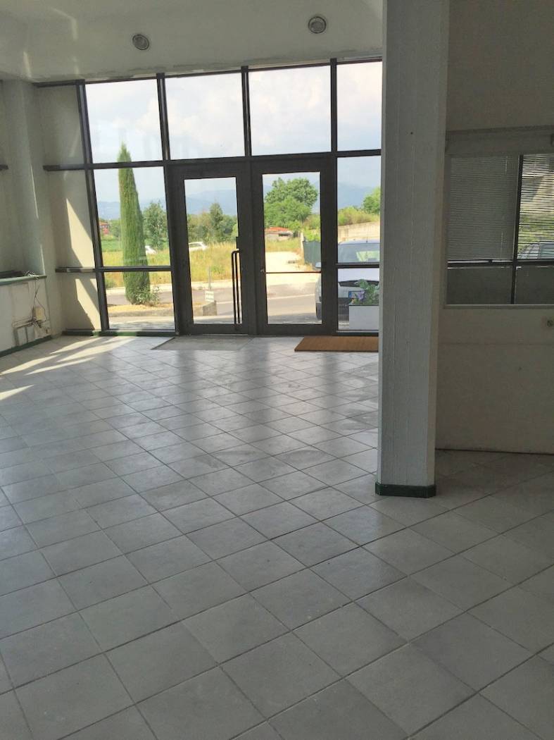 Ingresso
