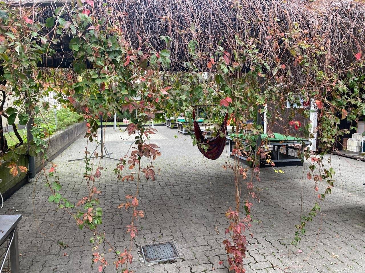 Cortile interno Cortile interno