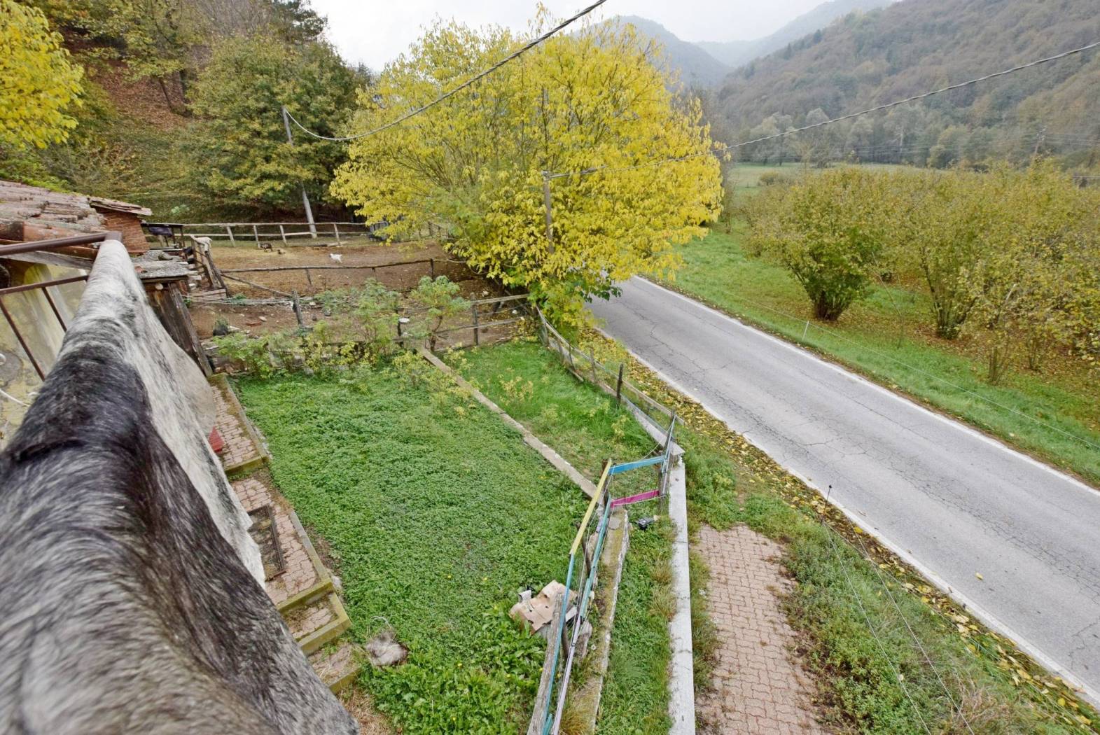 Terreno