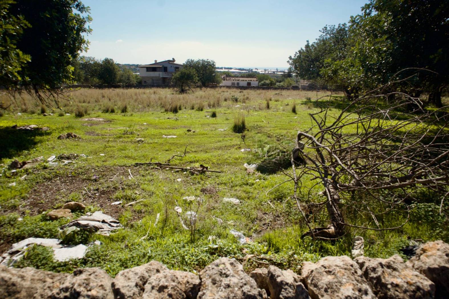 Terreno