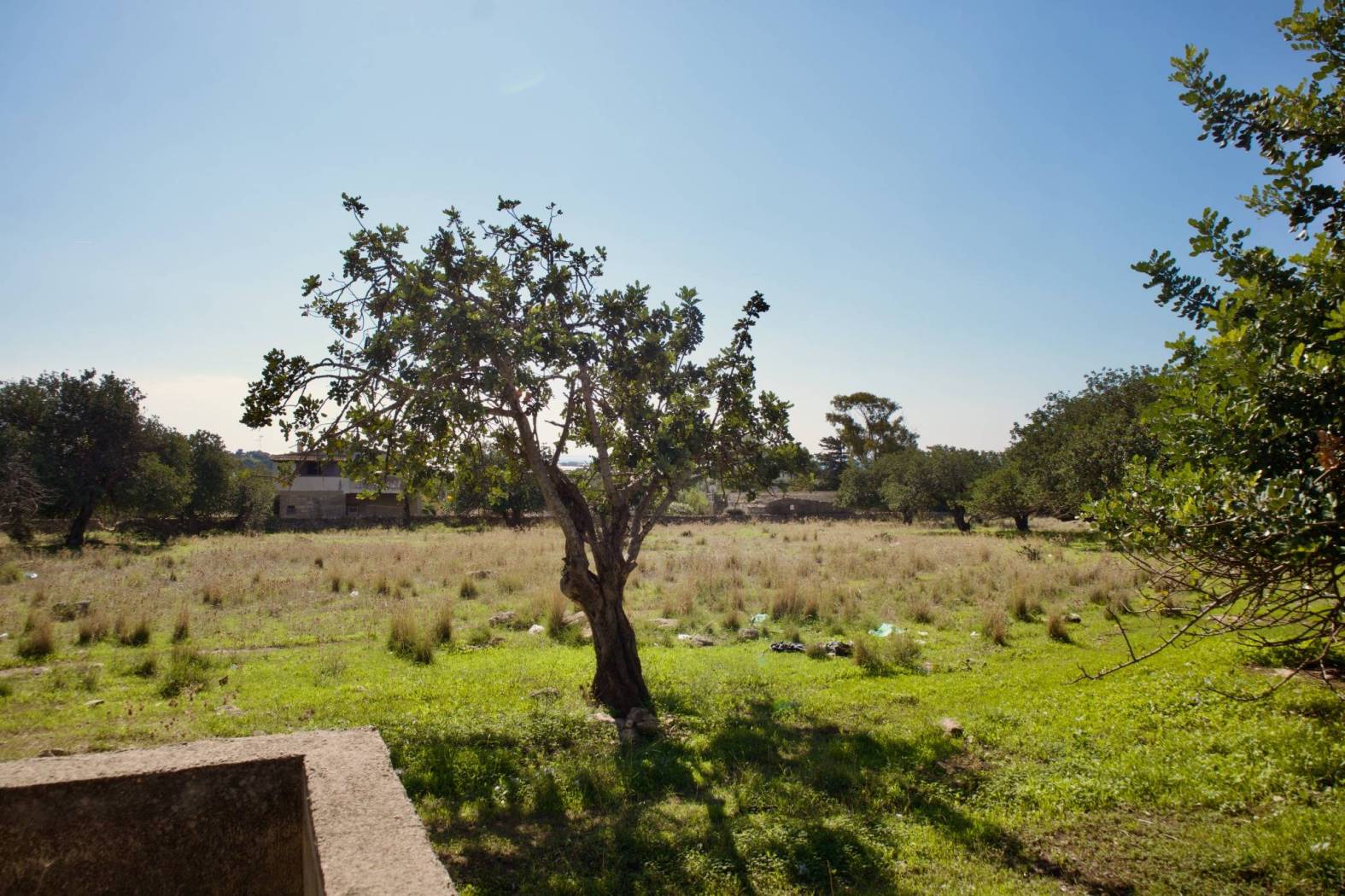 Terreno