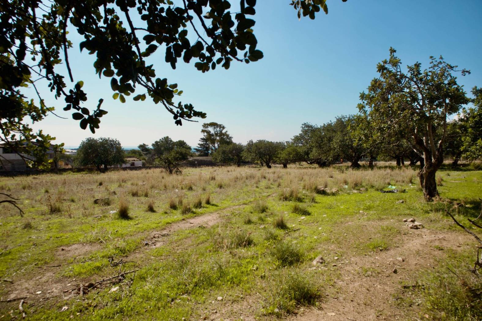 Terreno