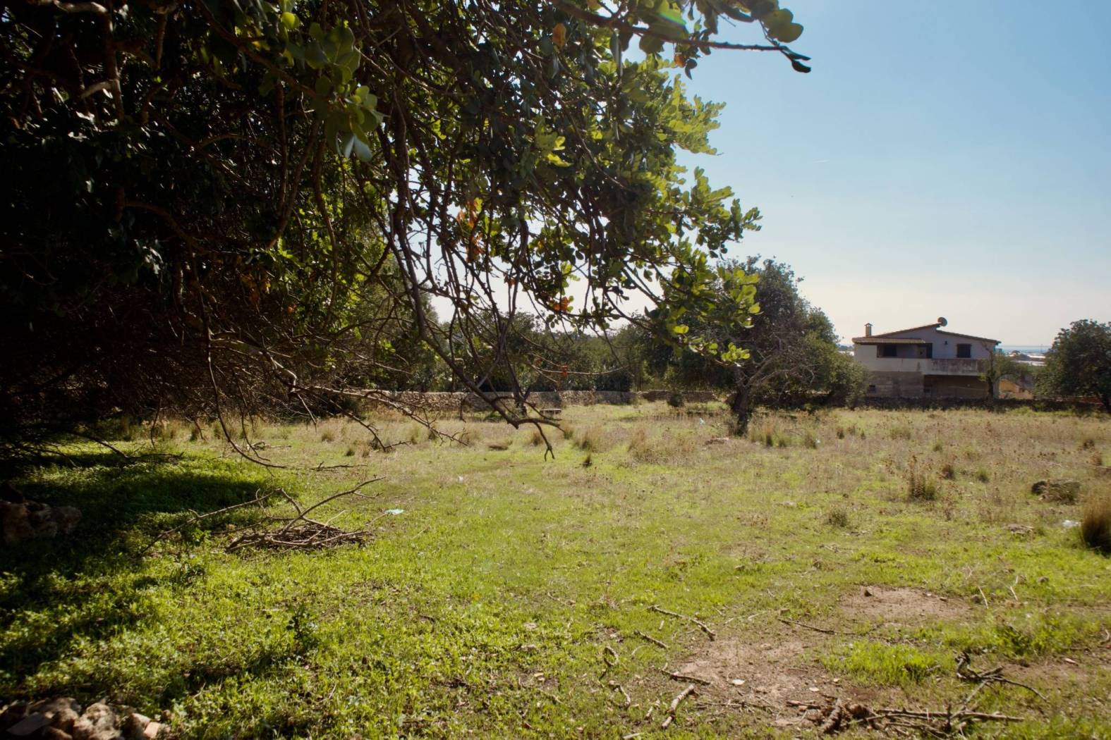 Terreno