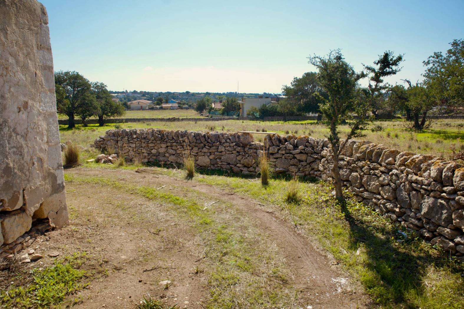 Terreno
