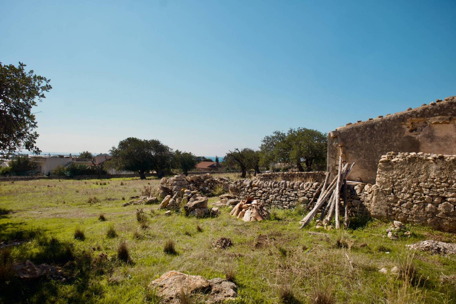 Terreno