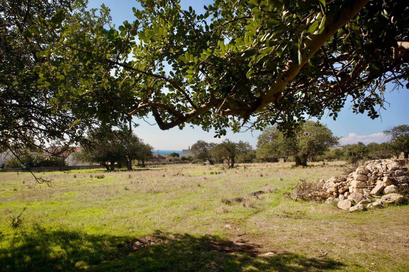 Terreno