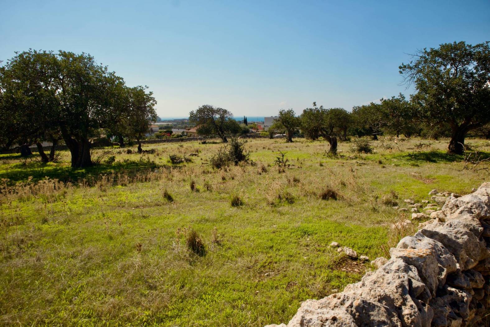 Terreno