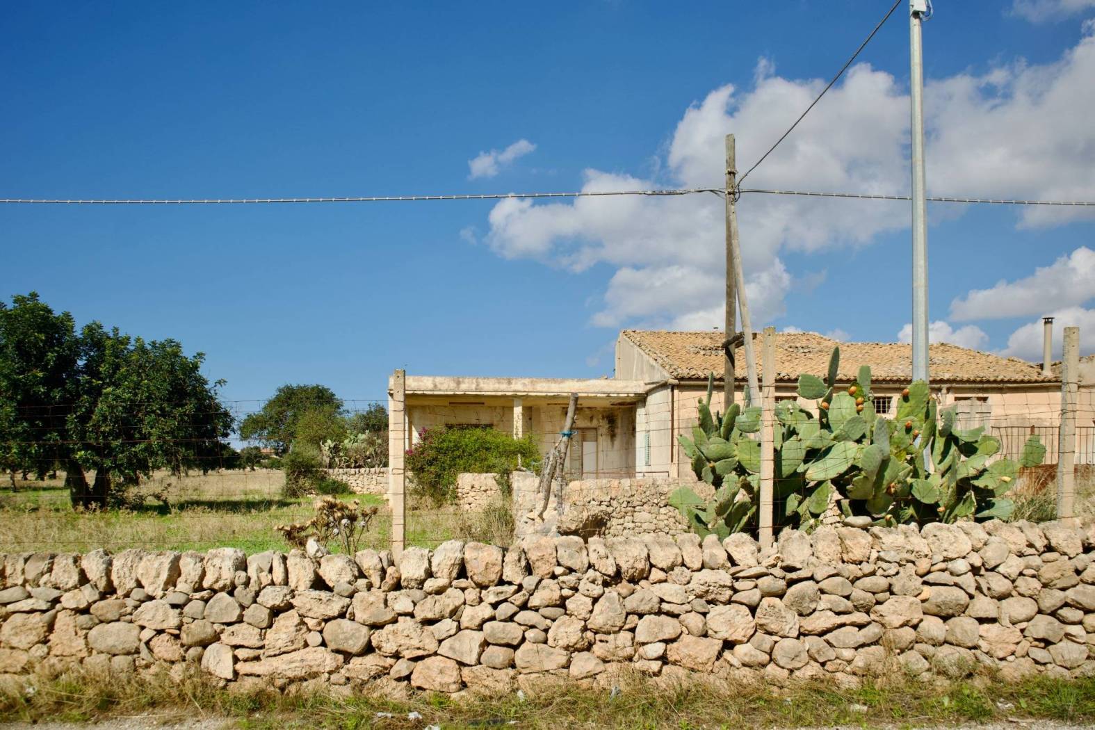Terreno