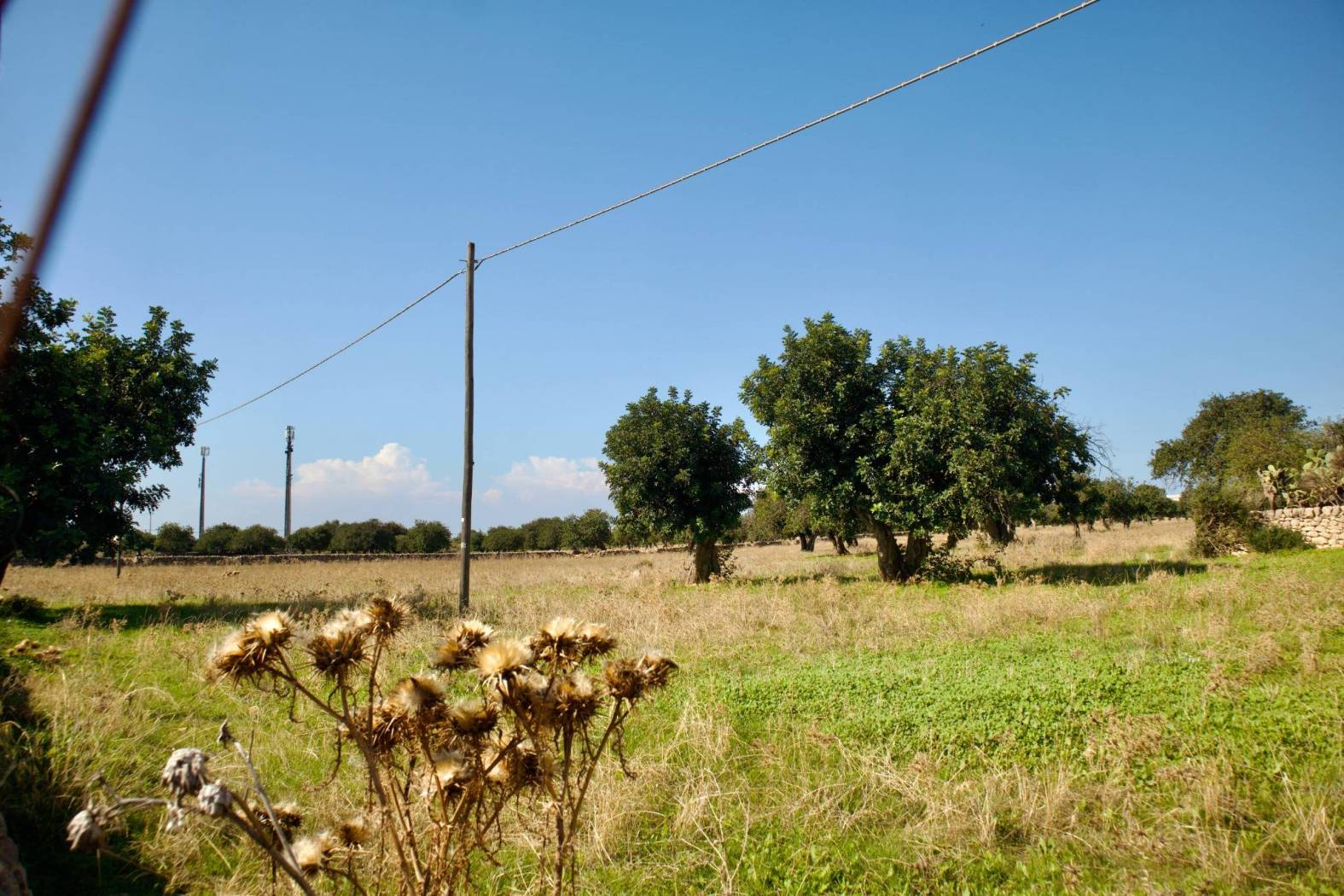 Terreno