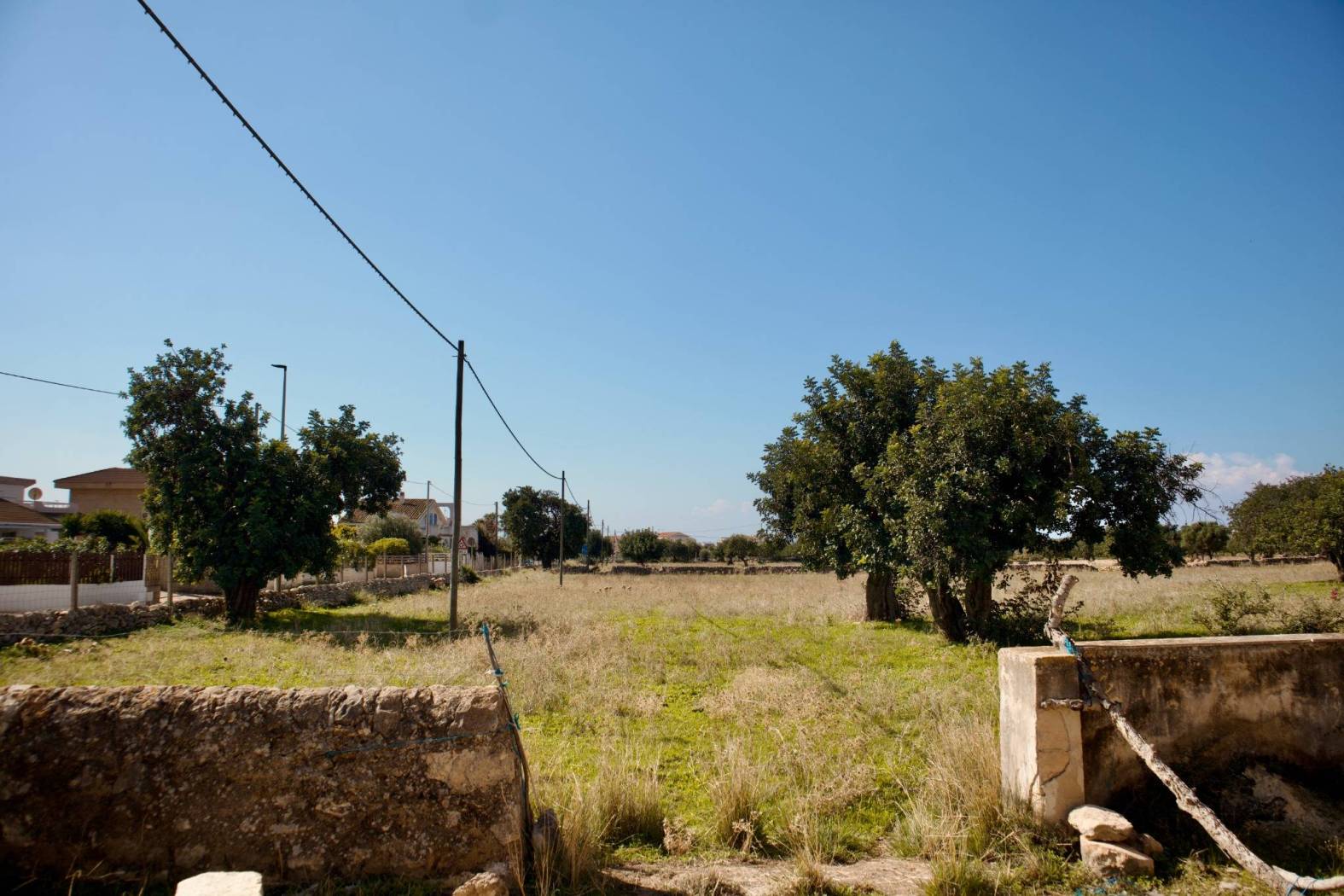Terreno