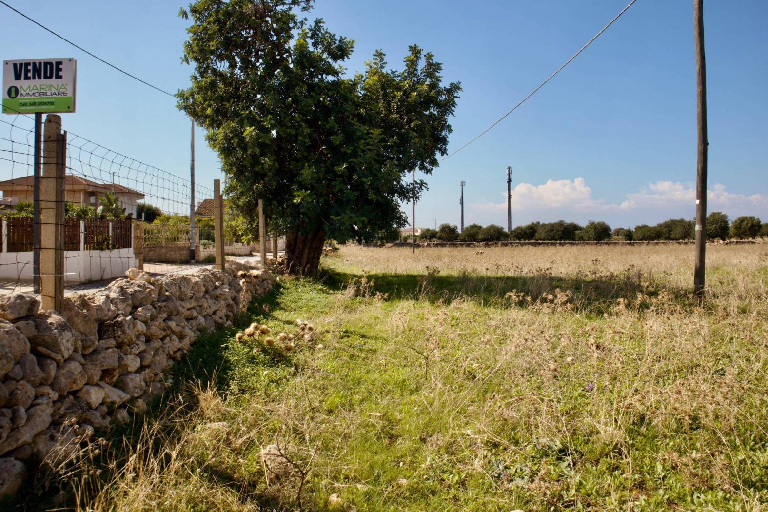 Terreno