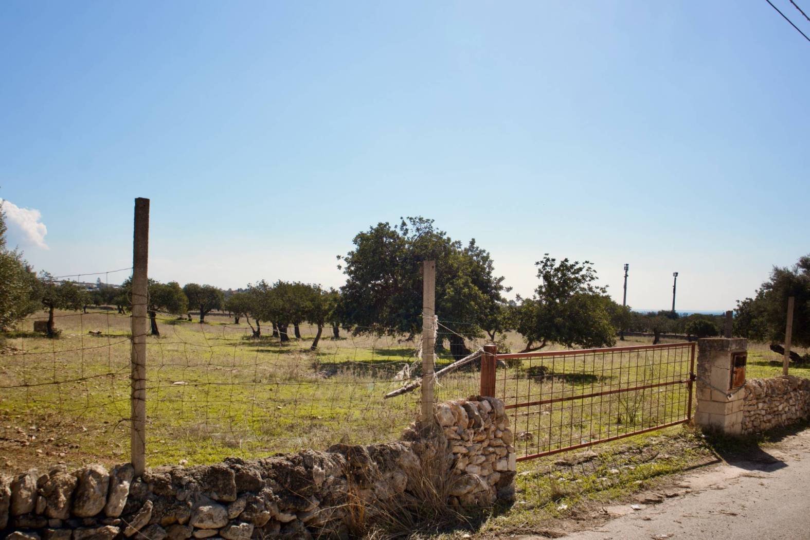 Terreno