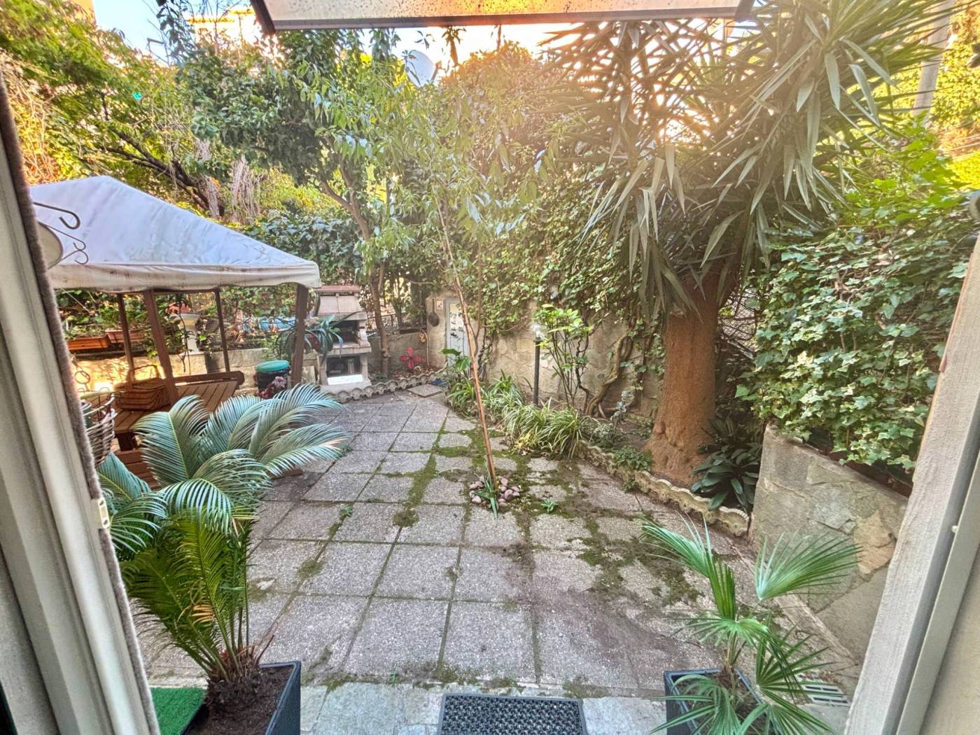 Giardino