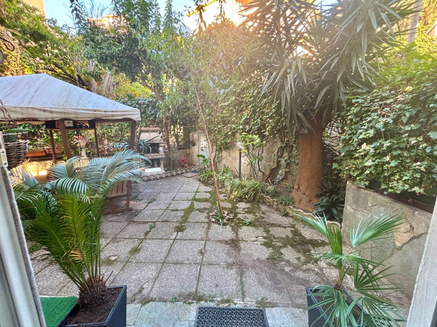 Giardino