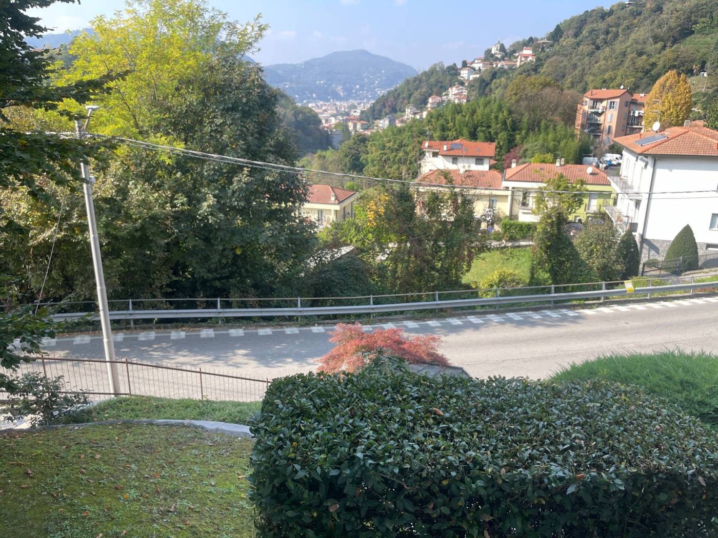 Vista