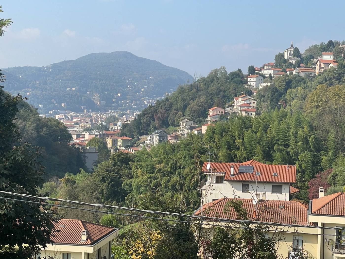 Vista
