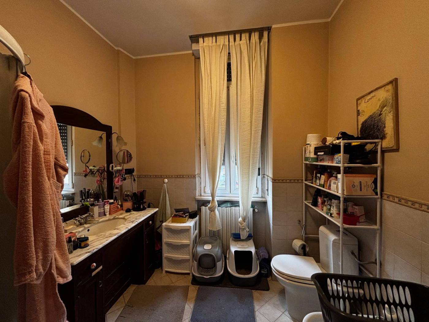 Bagno