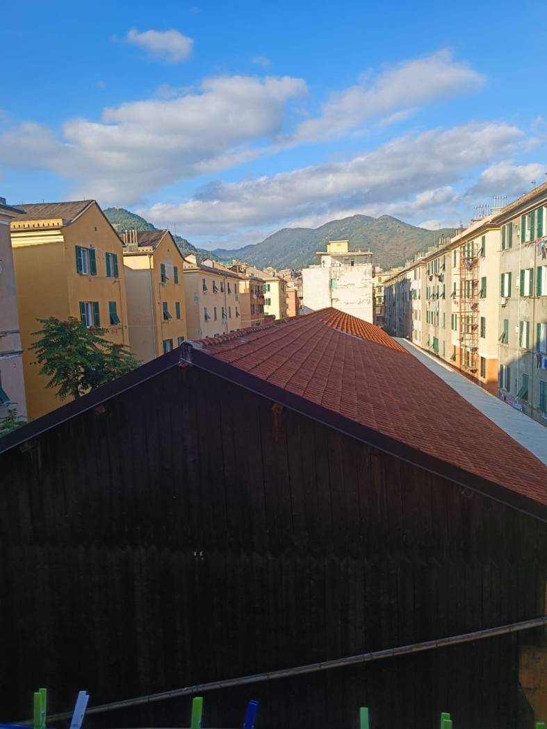 Vista