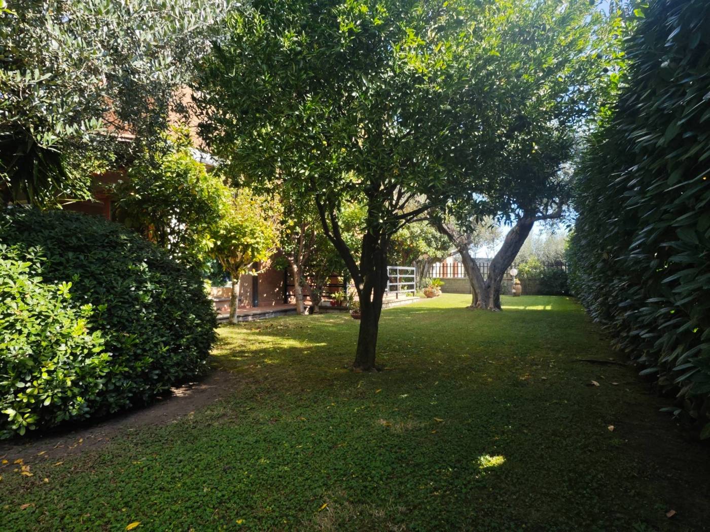 Giardino