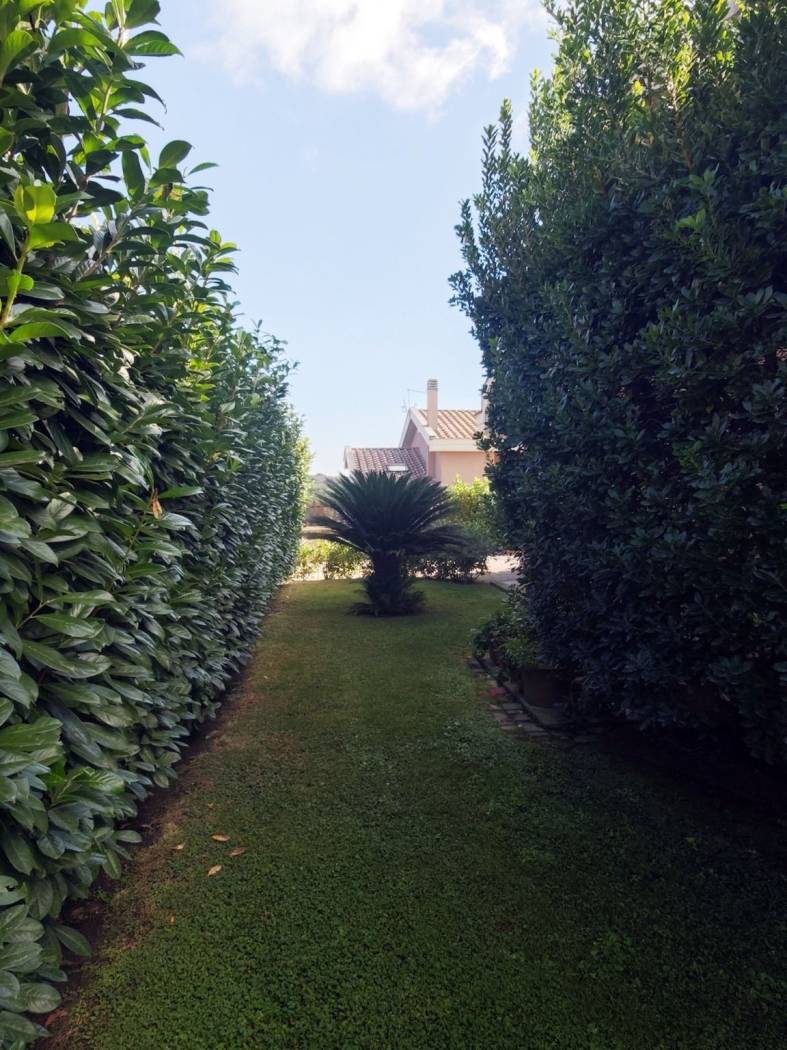 Giardino
